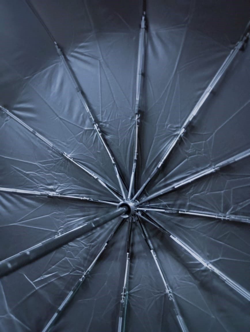 BMW Edition Fully Automatic 16-Rib Windproof Umbrella (Auto Open & Close)