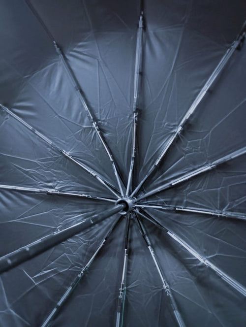 BMW Edition Fully Automatic 16-Rib Windproof Umbrella (Auto Open & Close)